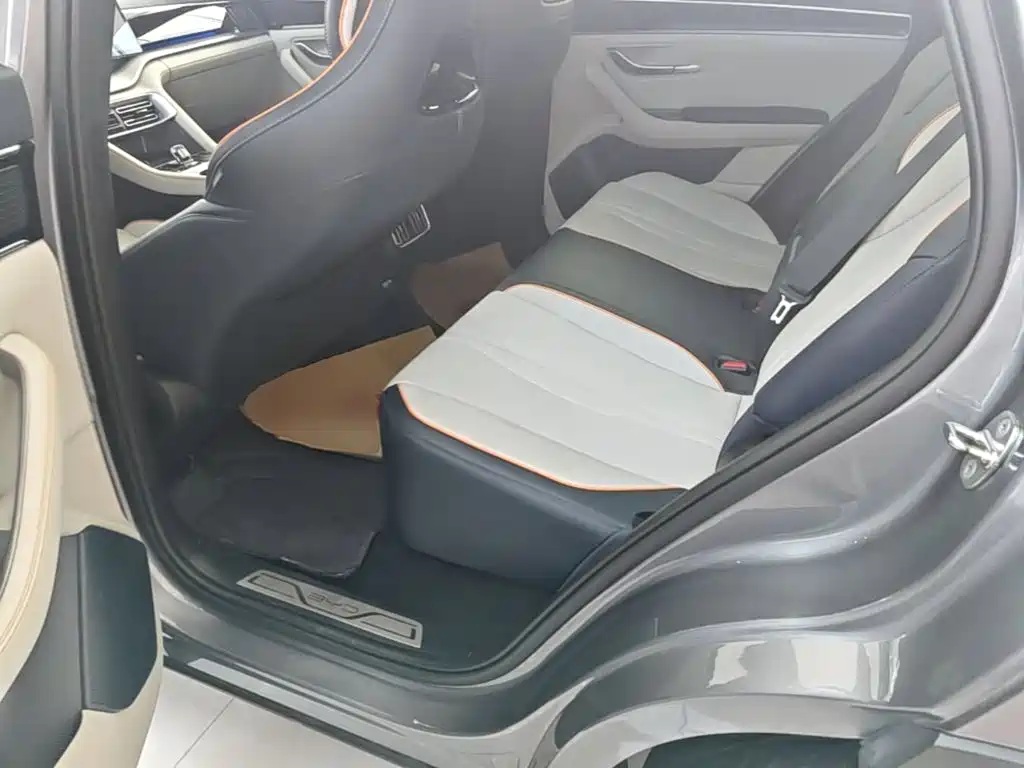 BYD Song PLUS New Energy 2024 — фото 17
