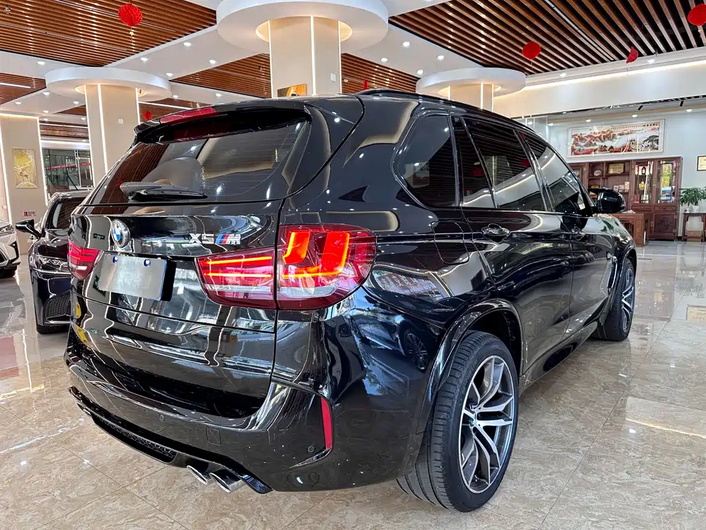 BMW X5 M 2017 — фото 4