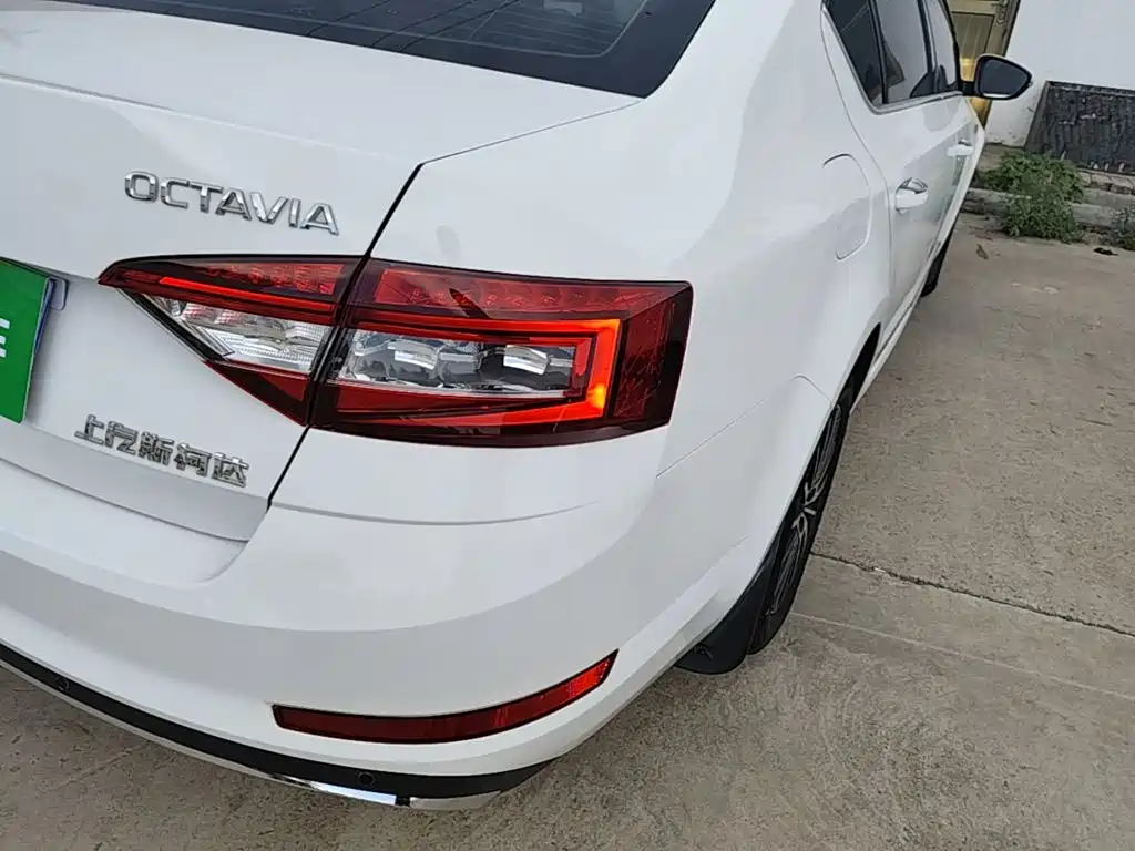 Skoda Octavia 2019 — фото 8