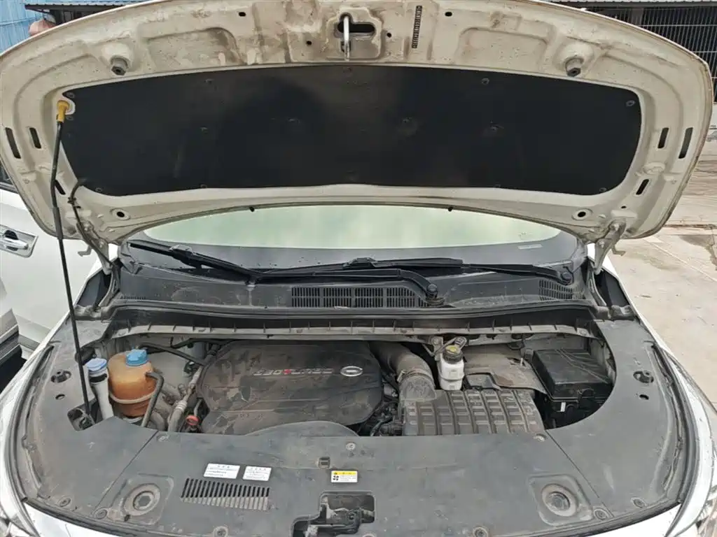 GAC Motor Trumpchi M8 2021 — фото 16
