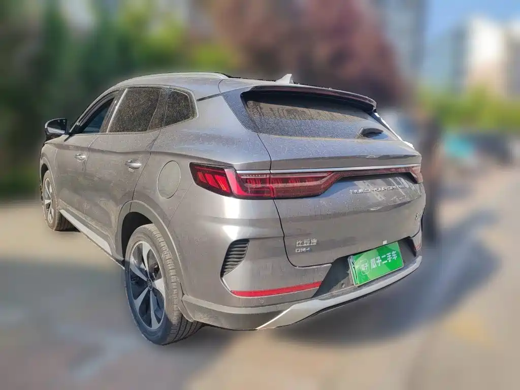BYD PLUS New Energy 2022 — фото 25