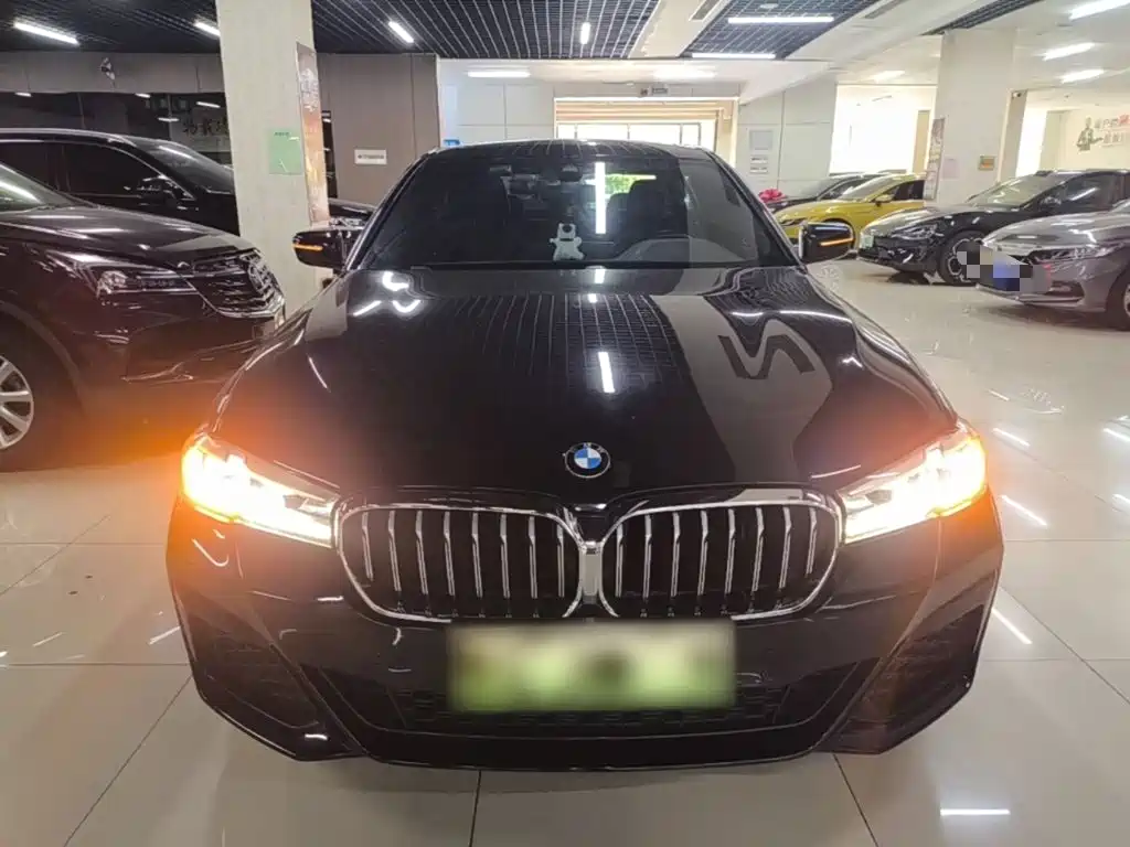 BMW 5 Series New Energy 2021