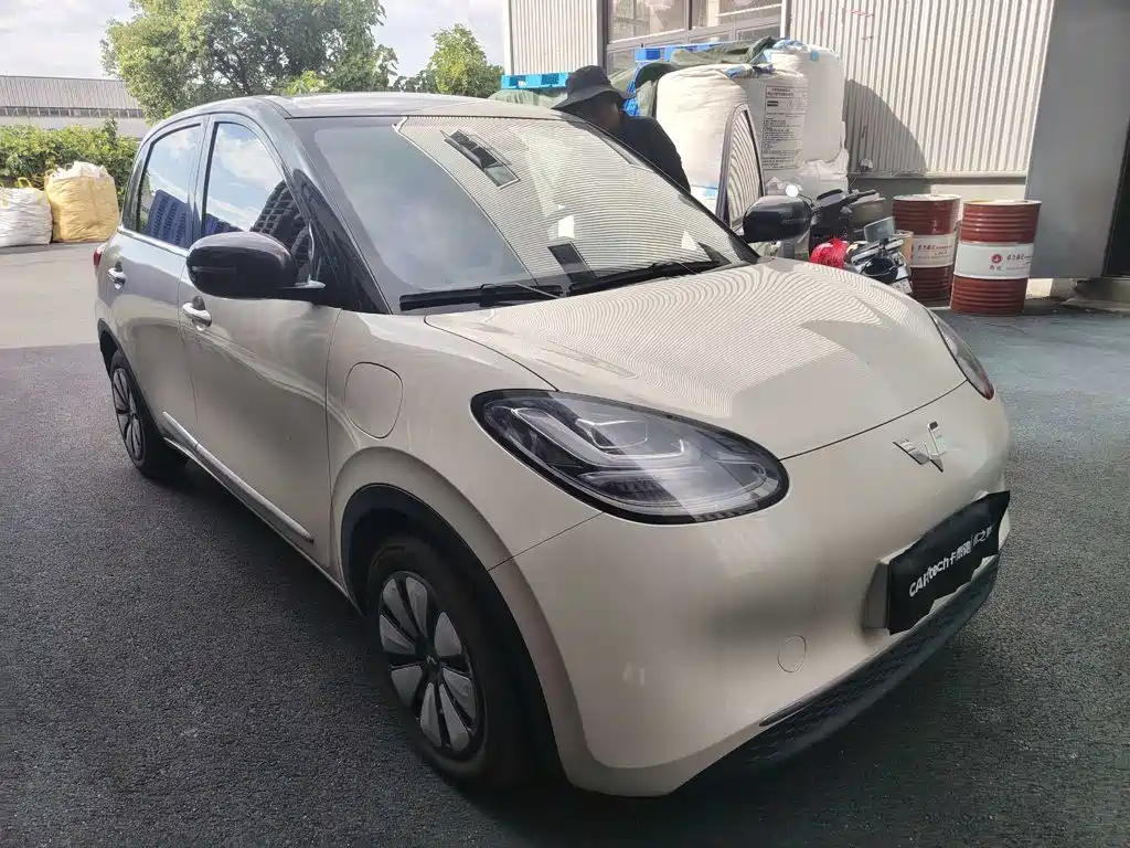 Wuling Bingo 2024
