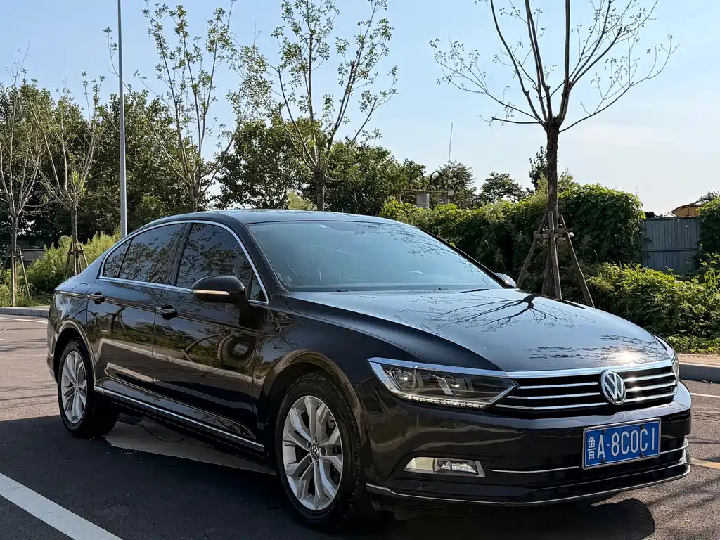 Volkswagen Magotan 2019