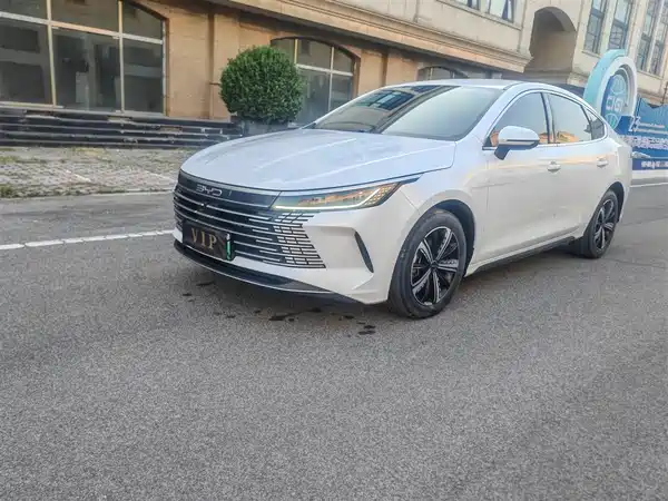 BYD Destroyer 05 2024