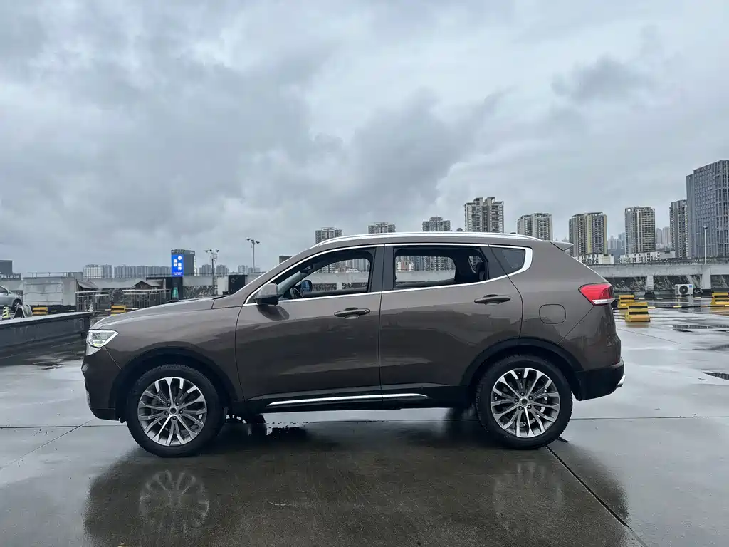 Haval H6 2017 — фото 8