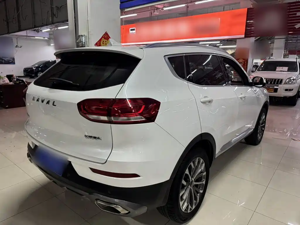 Haval H6 2019 — фото 9