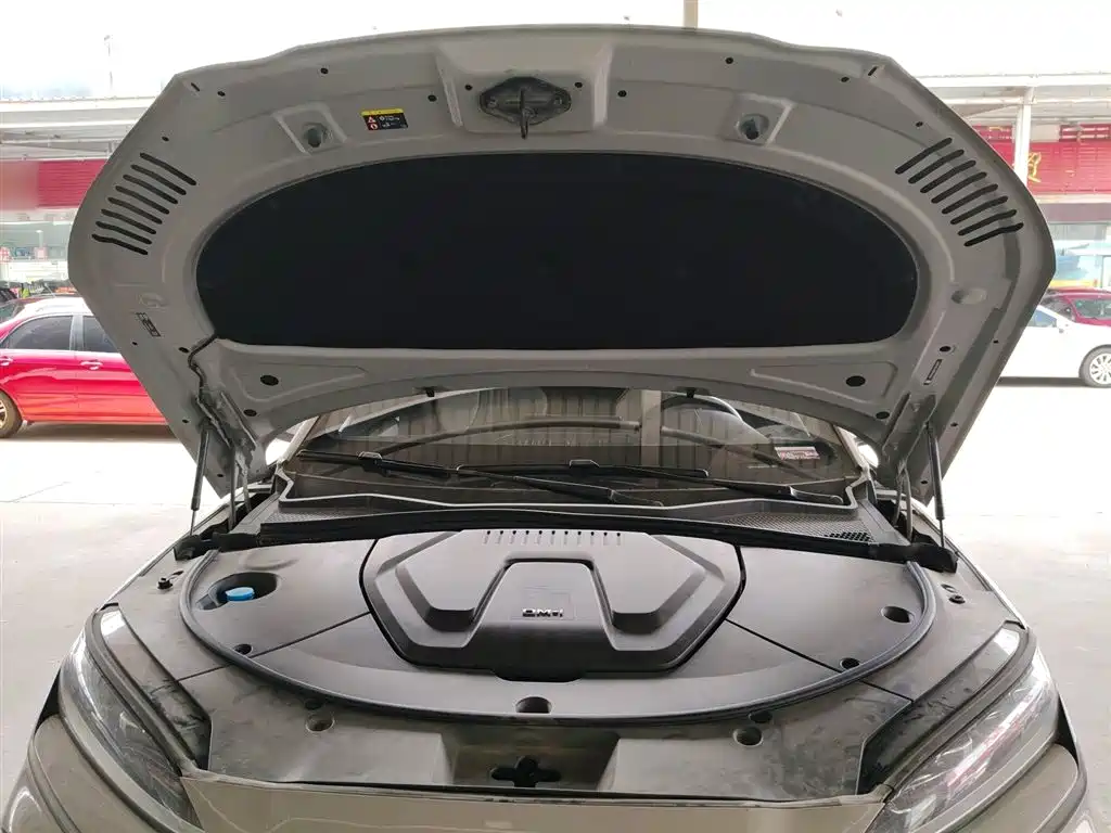 BYD PLUS New Energy 2024 — фото 17