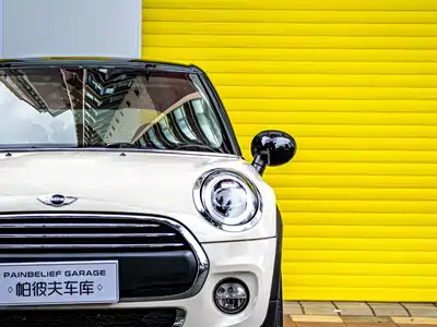 MINI MINI 2016