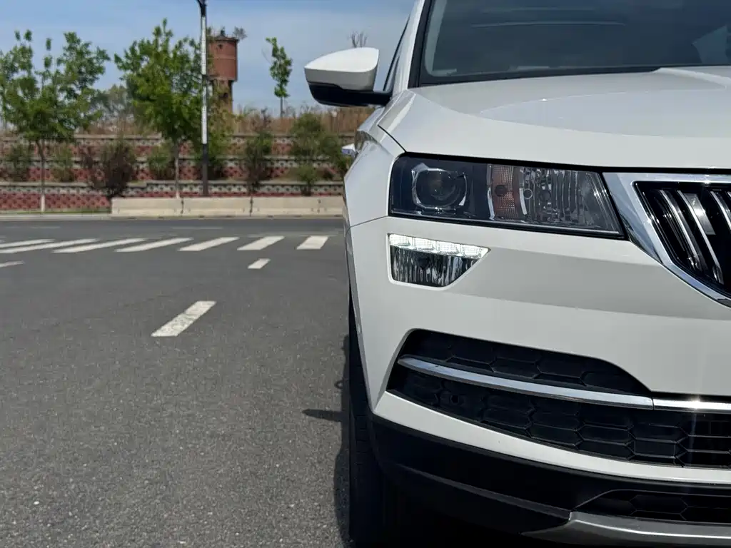 Skoda Karoq 2021 — фото 9