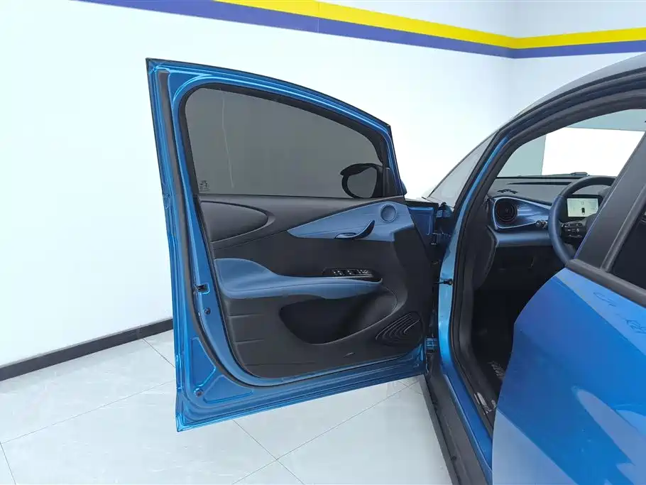 BYD Dolphin 2022