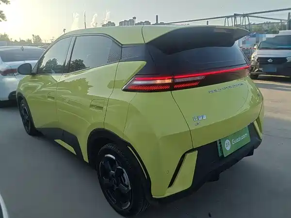 BYD Seagull 2024
