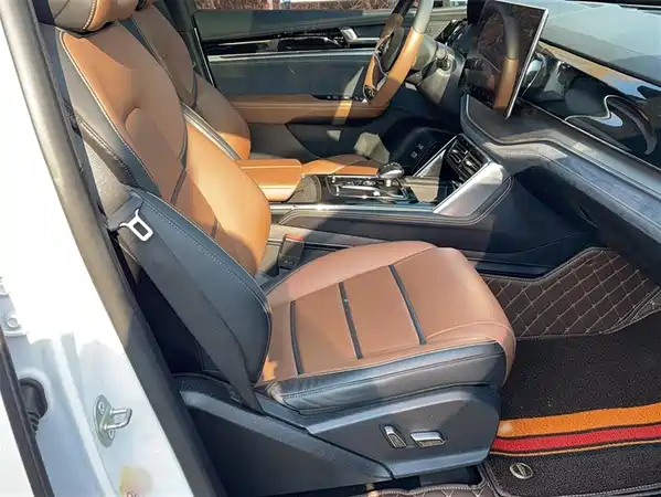 BYD Tang New Energy 2021