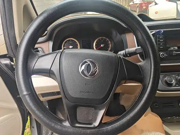 Dongfeng Lingzhi 2019