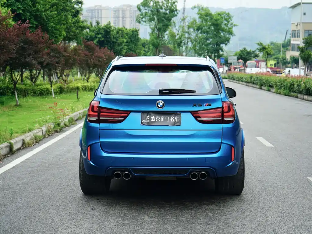 BMW X5 M 2017 — фото 5