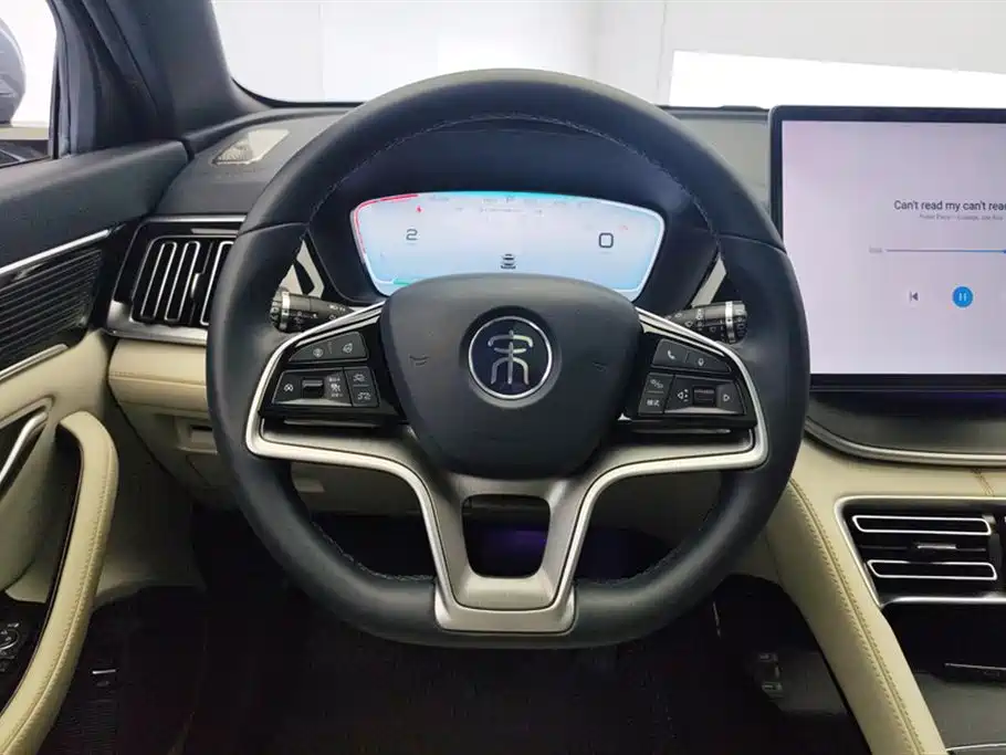 BYD PLUS New Energy 2022 — фото 15