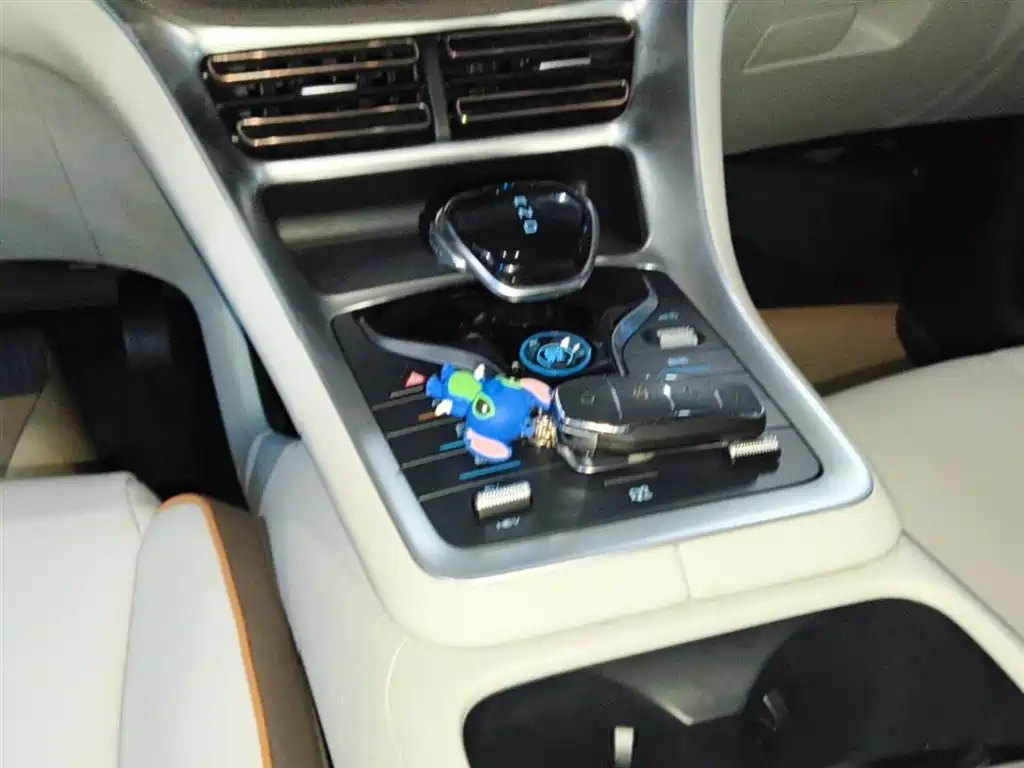BYD Pro New Energy 2022 — фото 14