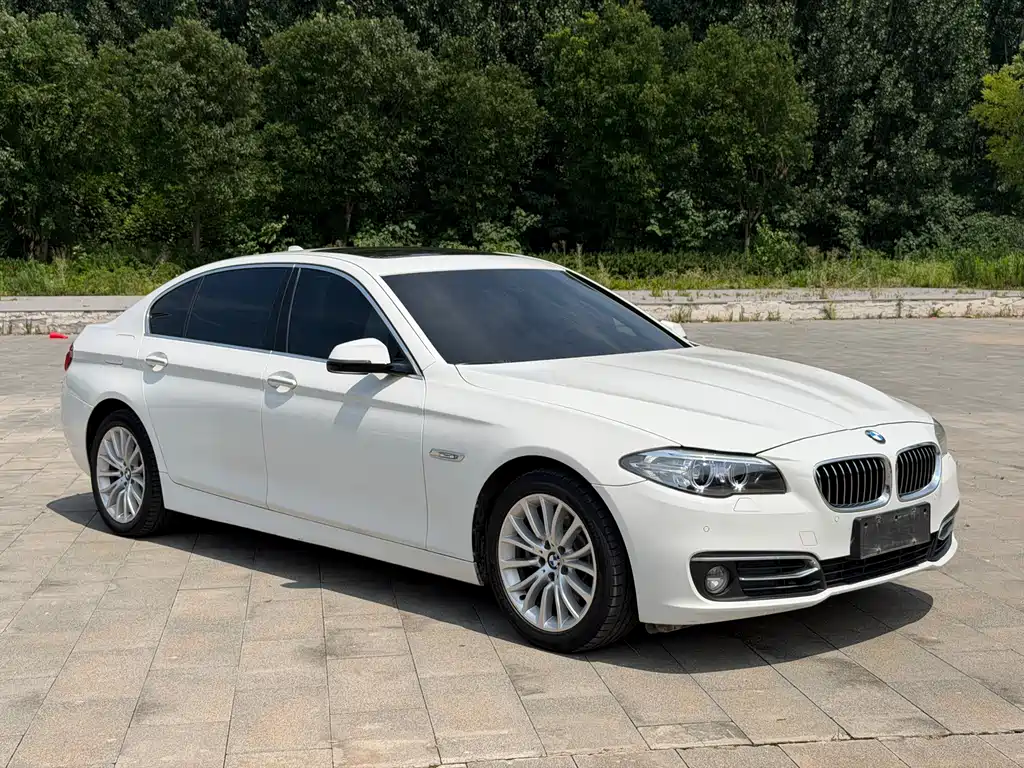 BMW 5 Series 2013