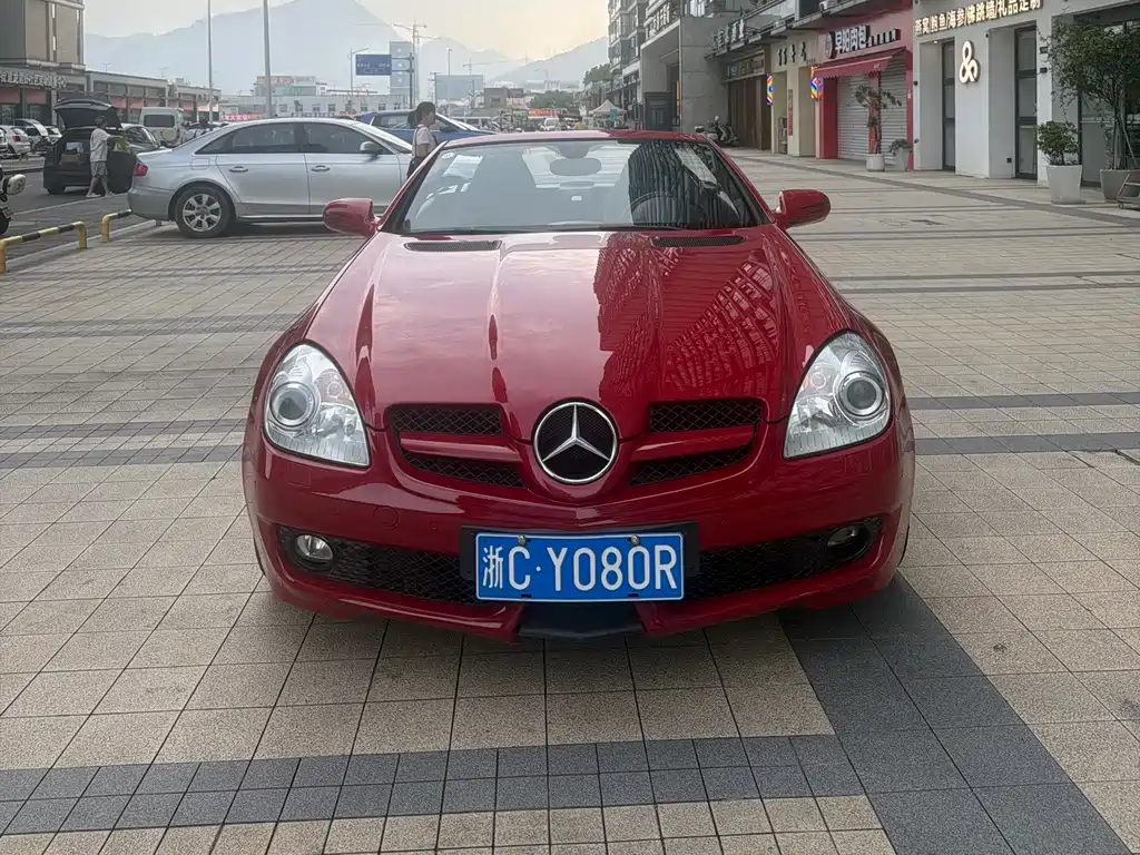 Mercedes-Benz SLK-Class 2010 — фото 2