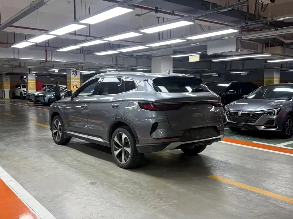 BYD PLUS New Energy 2022 — фото 4