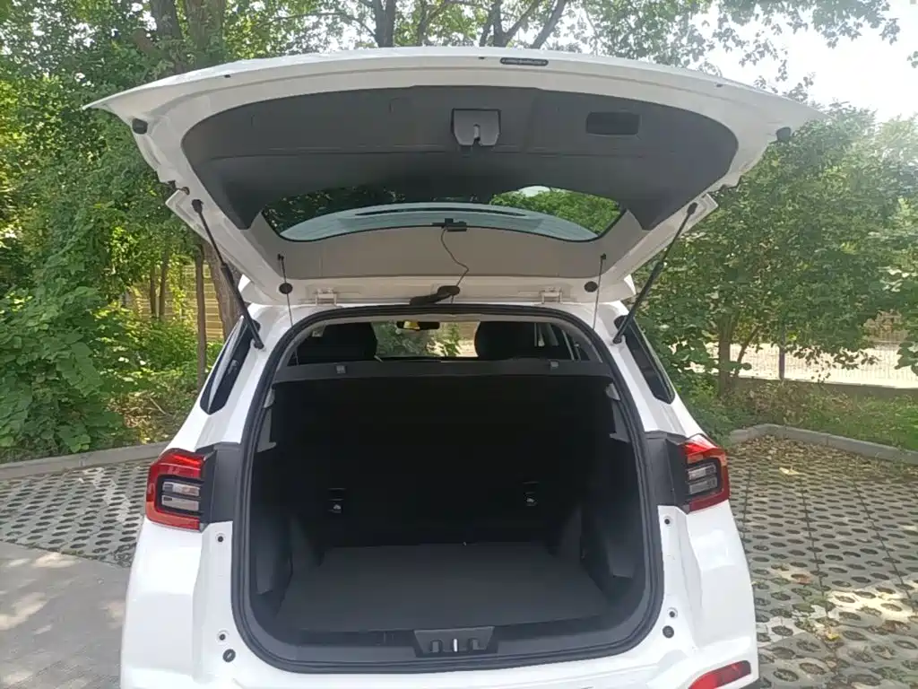 Chery Tiggo 5x 2021 — фото 19