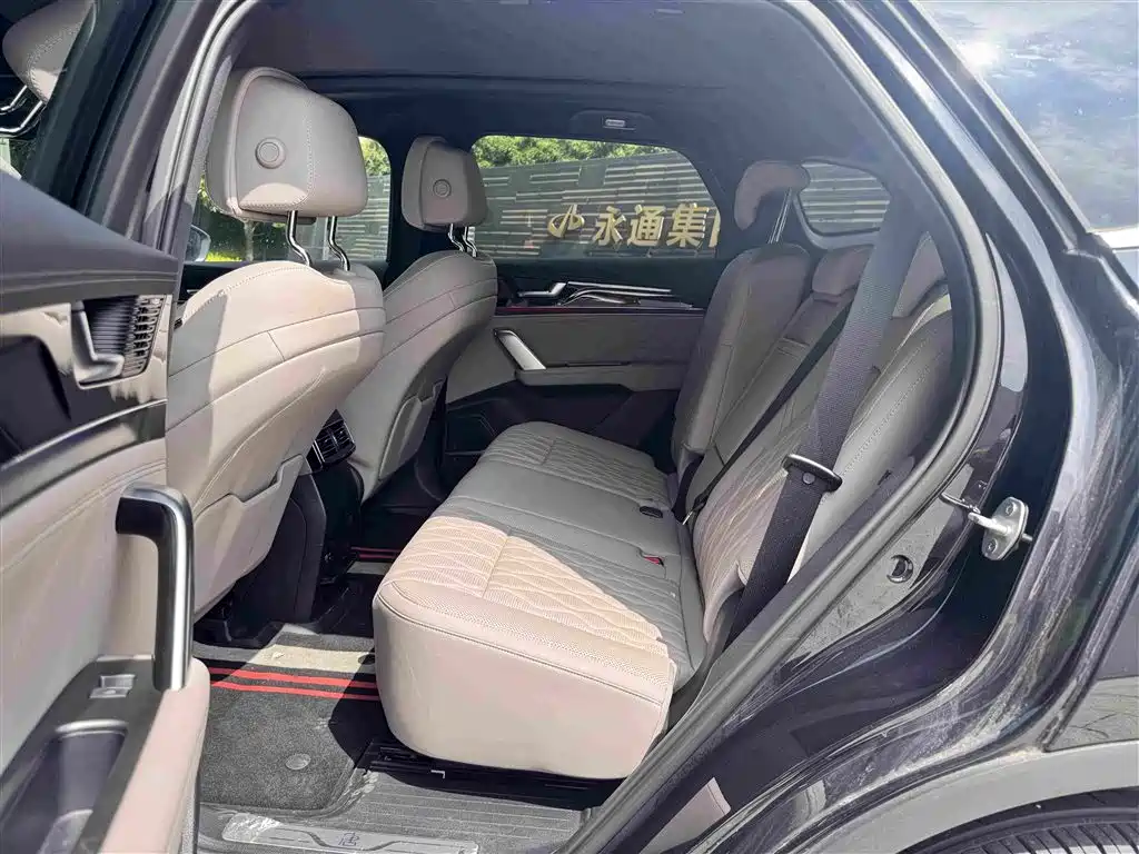 BYD Tang New Energy 2025 — фото 10