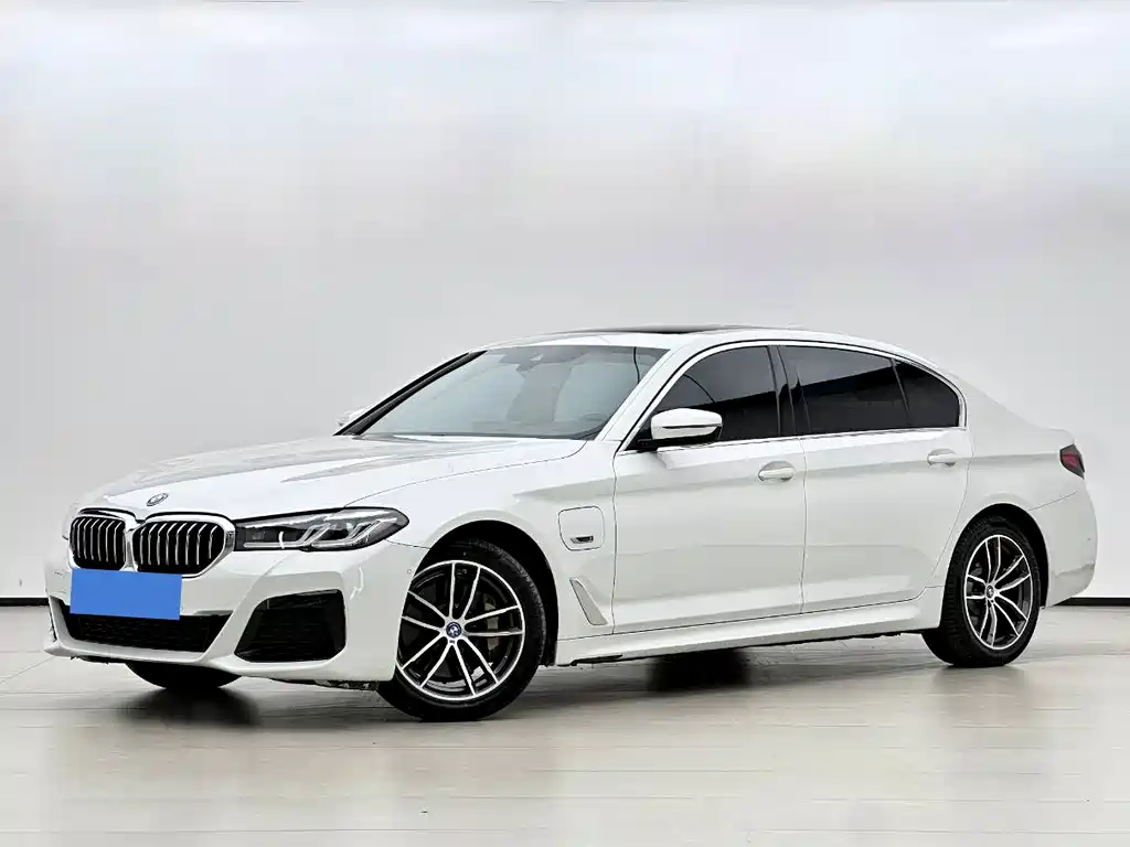 BMW 5 Series New Energy 2021