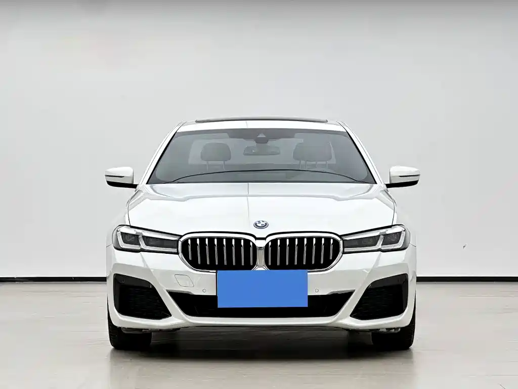 BMW 5 Series New Energy 2021