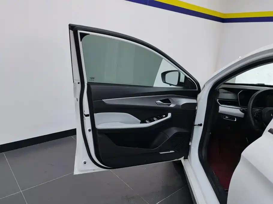 Geely Binrui 2024
