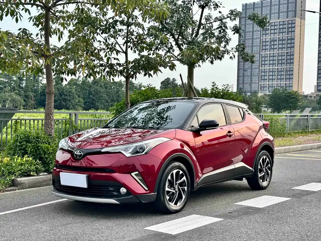 Toyota IZOA 2019