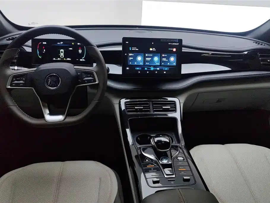 BYD Qin PLUS 2024 — фото 12