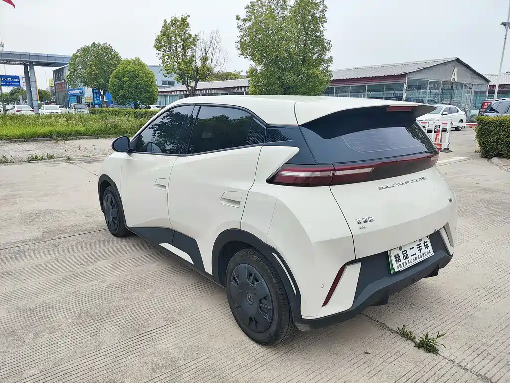 BYD Seagull 2024