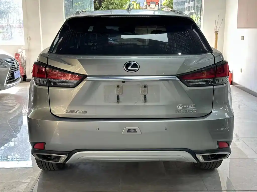Lexus RX 2022 — фото 8