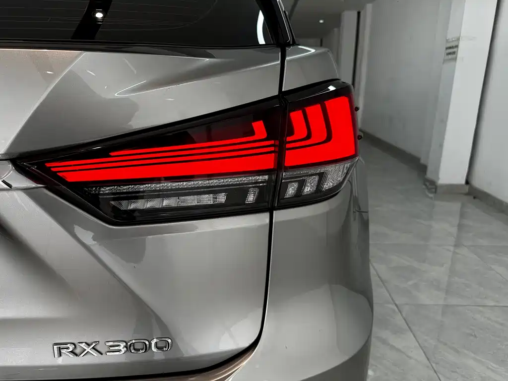 Lexus RX 2020 — фото 16