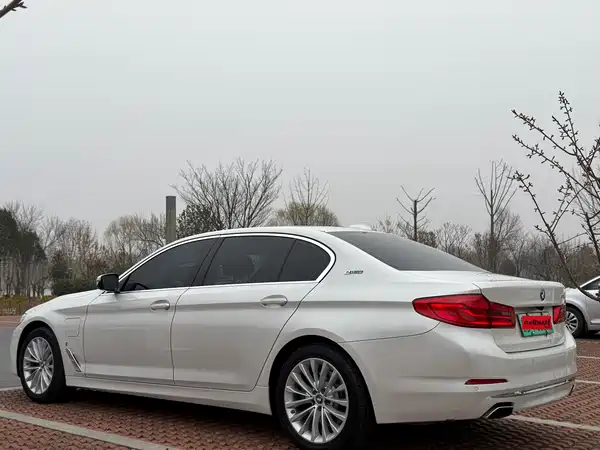 BMW 5 Series New Energy 2019