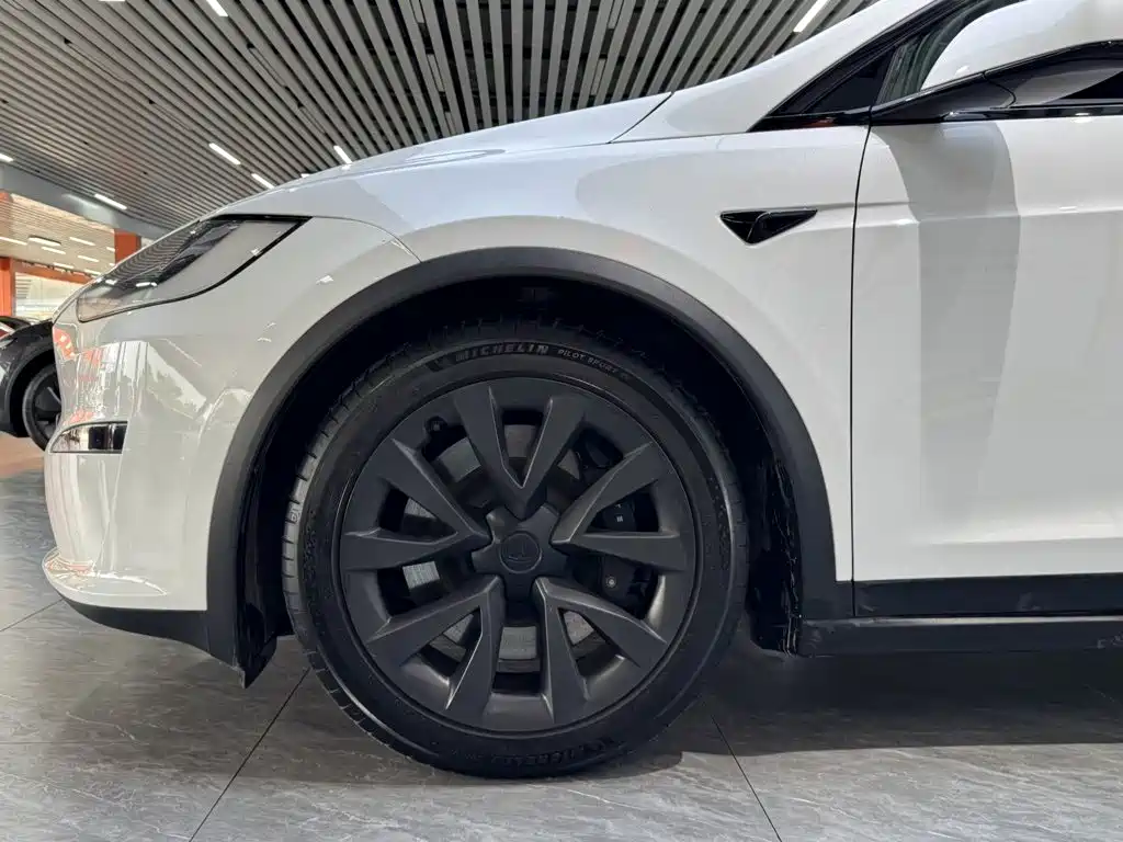 Tesla Model X 2023 — фото 23