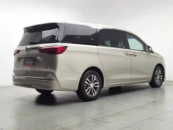 Buick GL8 2022