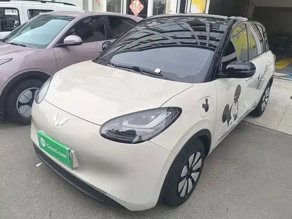 Wuling Bingo 2024