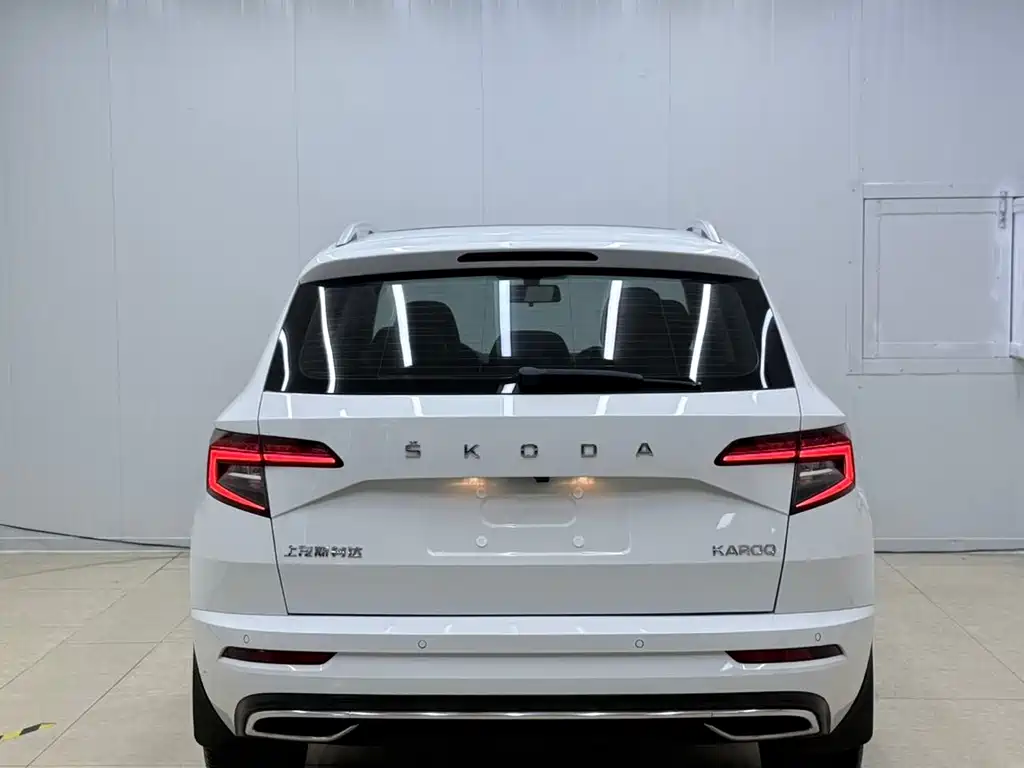 Skoda Karoq 2024 — фото 5