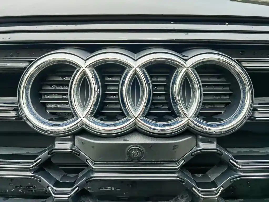 Audi Q5L 2024 — фото 22