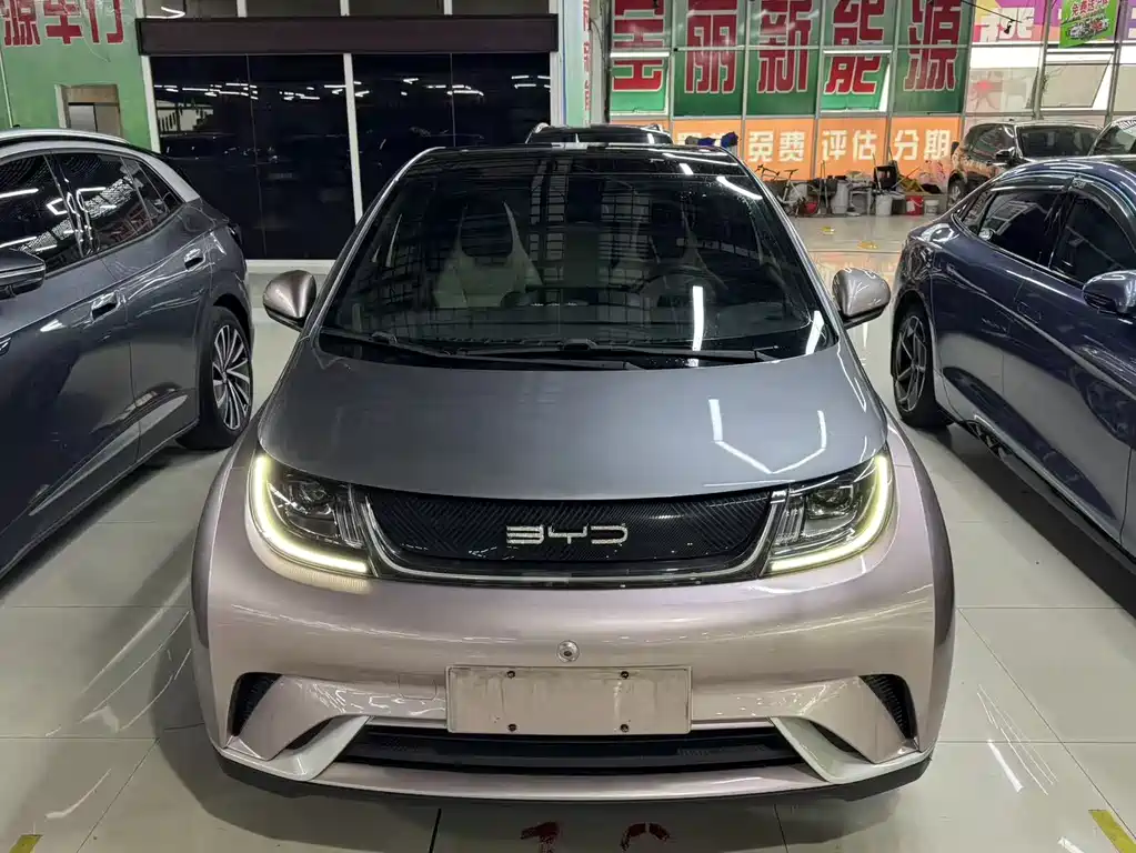 BYD Dolphin 2022