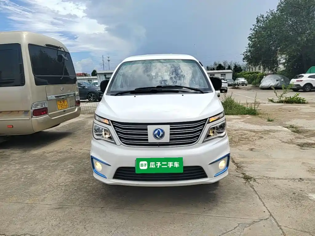 Dongfeng Lingzhi New Energy 2021
