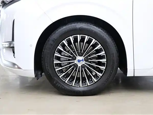 Denza D9 2024