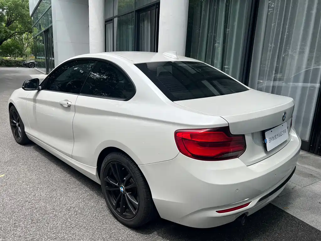 BMW 2 Series 2019