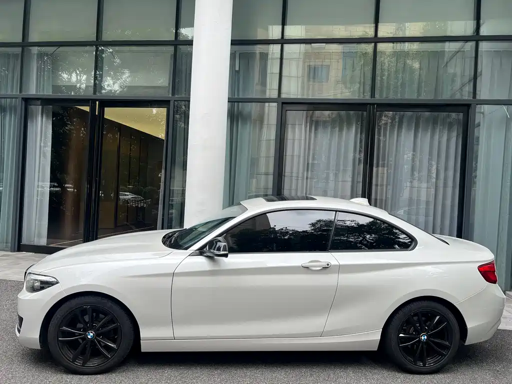 BMW 2 Series 2019