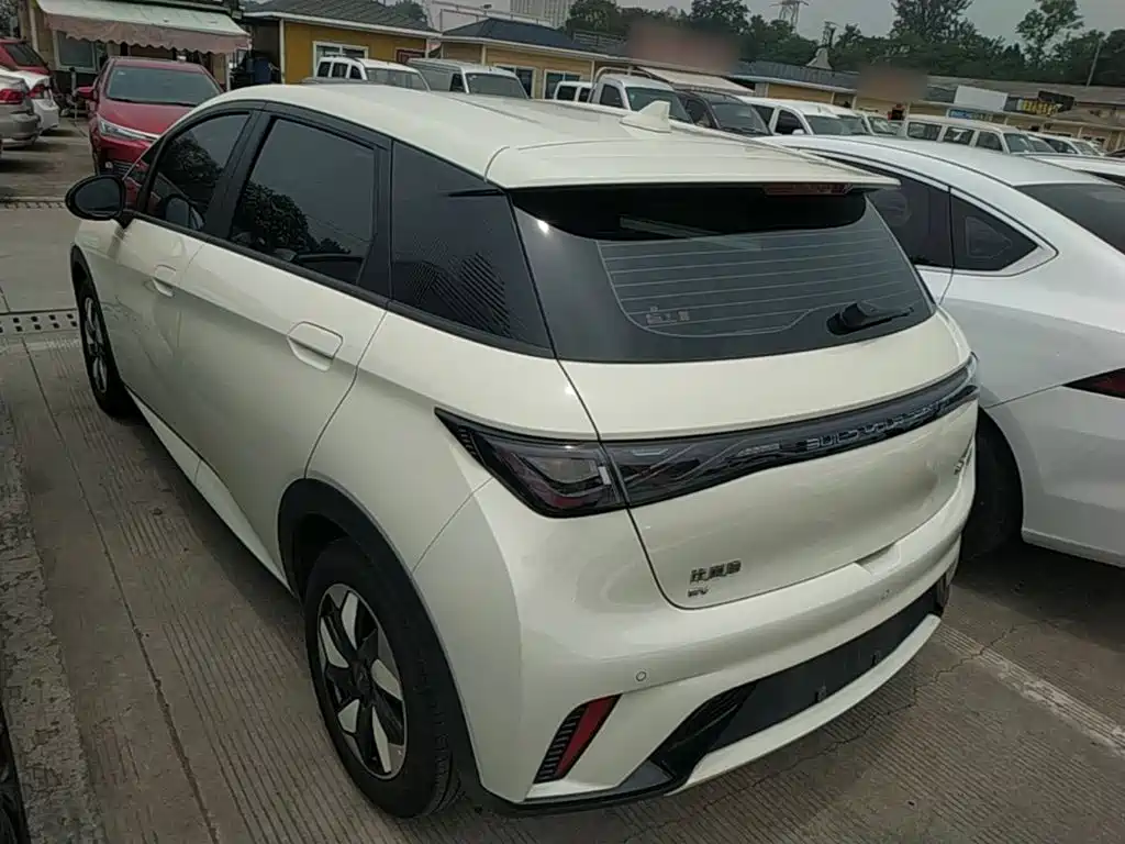 BYD Dolphin 2024