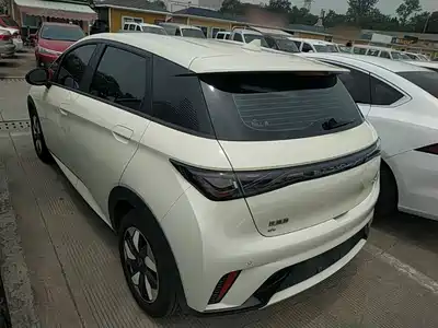 BYD Dolphin 2024