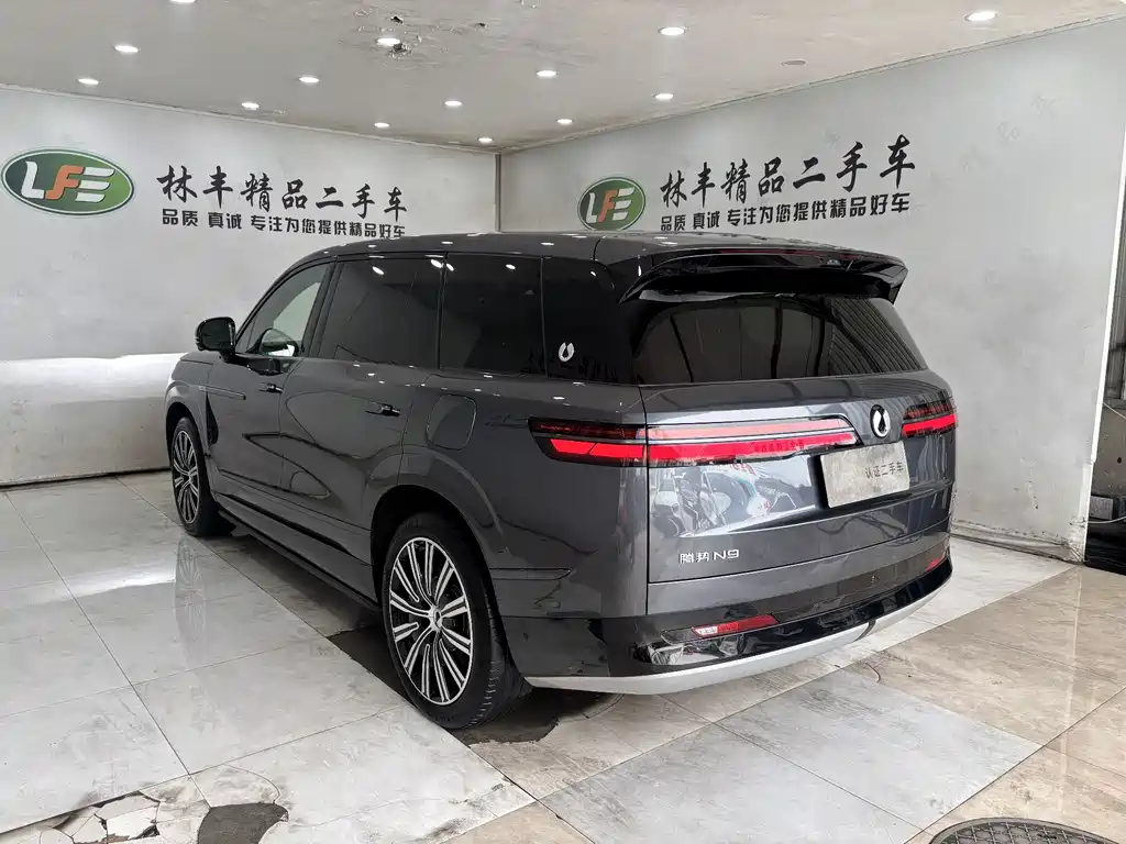 Denza N9 2025