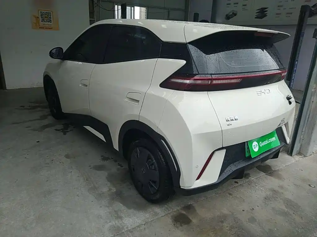 BYD Seagull 2025