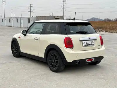 MINI MINI 2017
